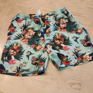 LRG Lifted Research Group Creative Clothing Co. Aqua Tropical Board Shorts Large